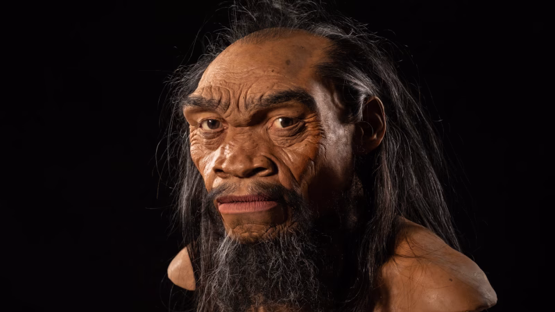 Il misterioso “Uomo Drago”: il cranio che ha dato un volto ai Denisovani e potrebbe riscrivere l’evoluzione umana