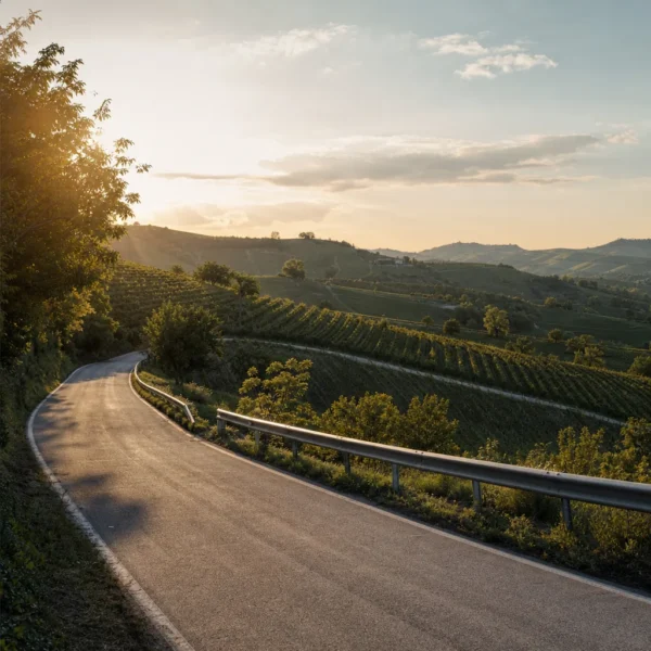 Sicurezza stradale nel Basso Piemonte: i rischi e le buone pratiche