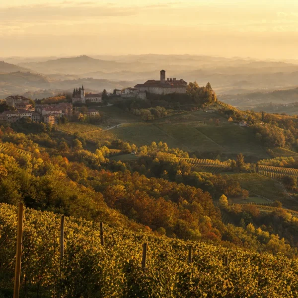 Il Monferrato patrimonio UNESCO: vino, paesaggio e cultura