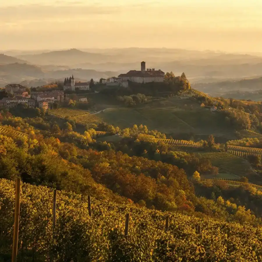 Il Monferrato patrimonio UNESCO: vino, paesaggio e cultura