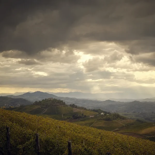 Maltempo e allerta meteo in Piemonte: dove informarsi e cosa fare