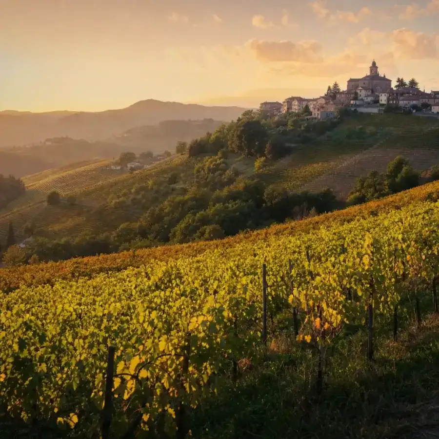 Colline del Monferrato al tramonto